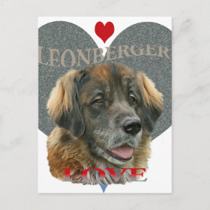 Carte Postale Idées cadeaux Leonberger Love