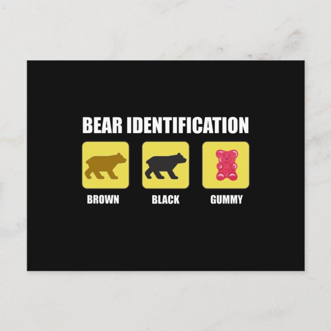 Carte Postale Identification de l'ours drôle (Devant)