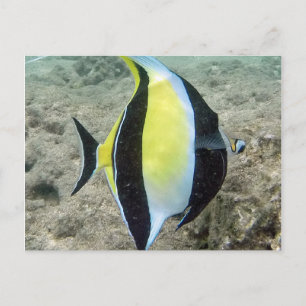 Carte Postale Idole mauresque de Hanauma Bay Hawaii