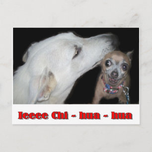 Carte Postale Ieee Chi hua hua