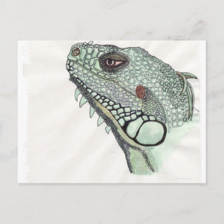 Carte Postale Iguana