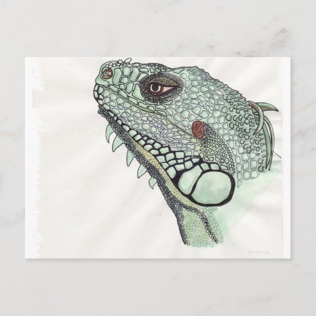 Carte Postale Iguana (Devant)