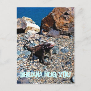 Carte postale Iguana Te serrer