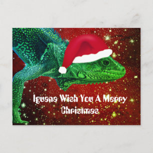 Carte Postale Iguana Vous Souhaite Un Joyeux Noël