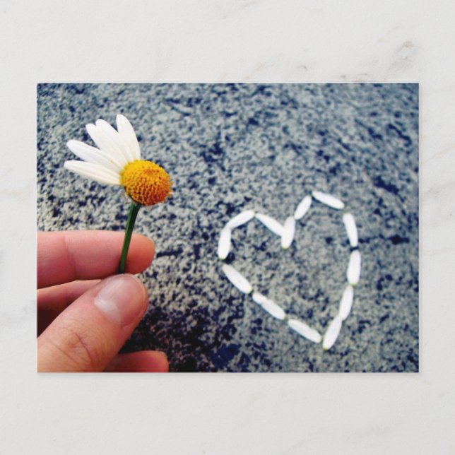 Carte Postale Il m'aime (Devant)