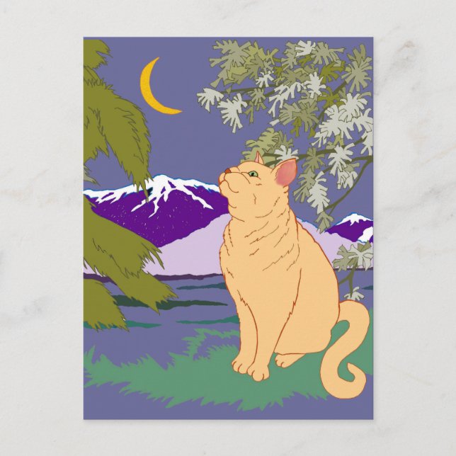 Carte Postale Il Pourrait Y Avoir Des Mourices (Devant)