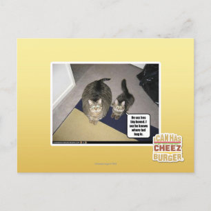 Carte Postale Il se fait chier.