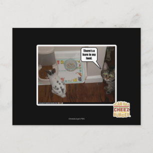 Carte Postale Il y a un lièvre dans ma nourriture.