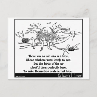 Carte Postale Il y avait un vieil homme dans un arbre
