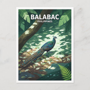 Carte Postale Île de Balabac, forêt intérieure, Philippines, voy