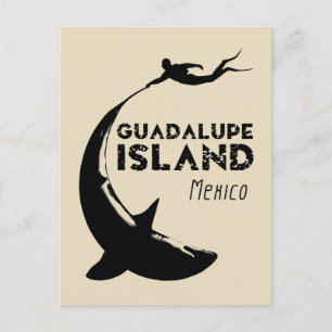 Carte Postale Île de Guadalupe Mexique Plongée avec requins