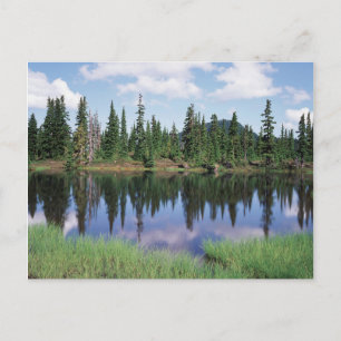 Carte Postale Île de Vancouver, parc provincial Strathcona 2