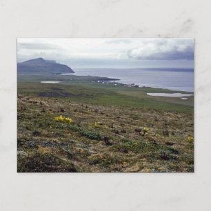 Carte Postale Île St. George, Pribilofs 1987