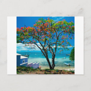 Carte Postale Ile tropicale Fuite tropicale Bahamas