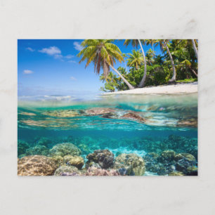 Carte Postale Île tropicale sous et au-dessus de l'eau