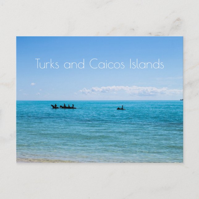 Carte Postale Îles Turques et Caïques (Devant)