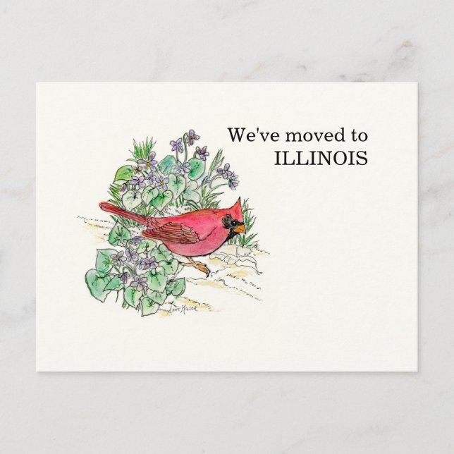 Carte Postale Illinois (Devant)