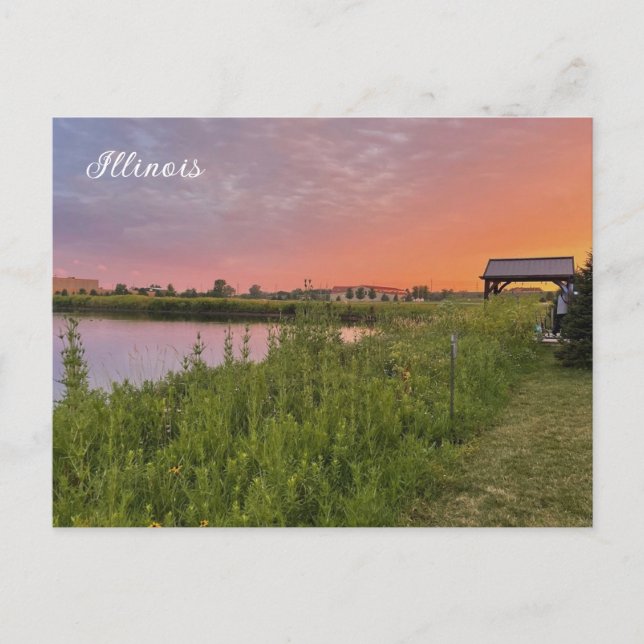 Carte postale Illinois Field (Devant)