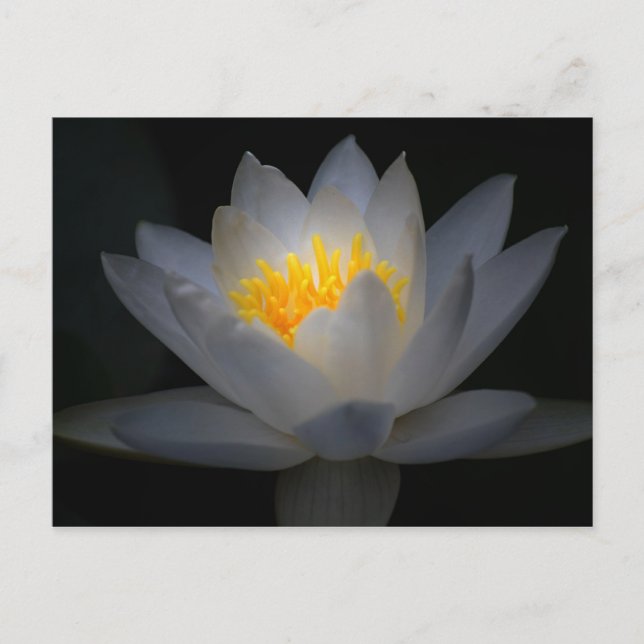 Carte Postale illumination (Devant)