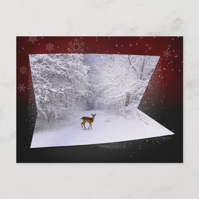 Carte Postale Illusion 3D "Rêves neigeux" (Devant)
