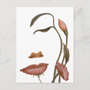 Carte Postale Illusion de fleur faciale