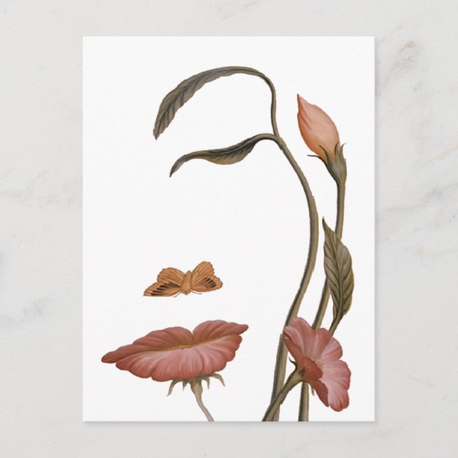 Carte Postale Illusion de la fleur faciale (Devant)