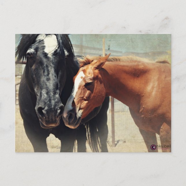 Carte Postale Illusion et précipitation (Devant)