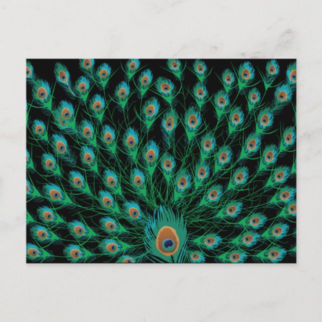 Carte Postale Illustration avec plumes de paon sur noir (Devant)