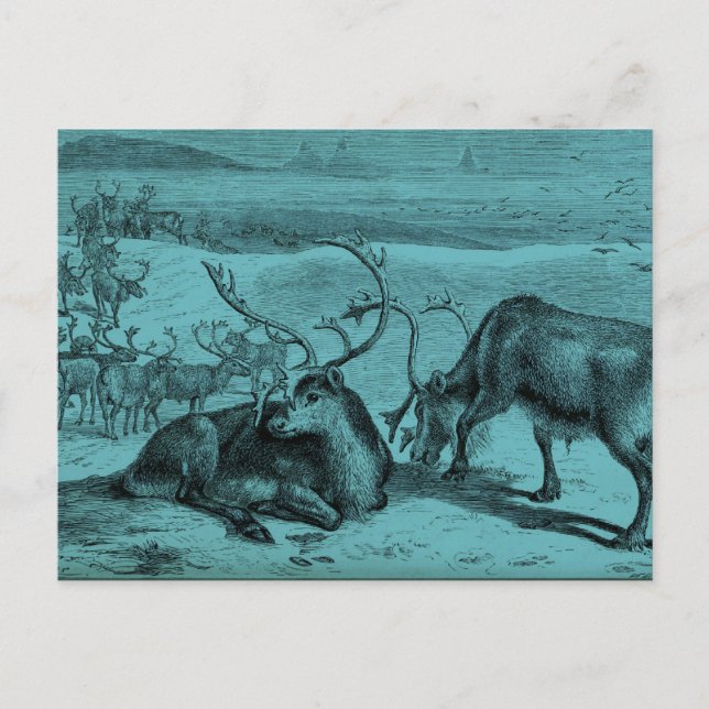 Carte Postale Illustration Blue Vintage Reindeer (Devant)