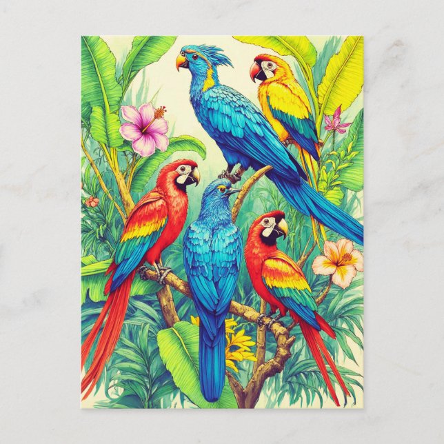Carte Postale Illustration botanique des oiseaux tropicaux (Devant)