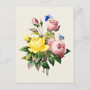 Carte Postale Illustration botanique Rose vintage