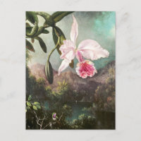 Illustration botanique vintage