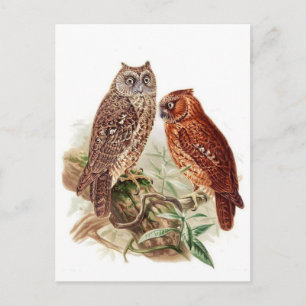 Carte postale Illustration classique