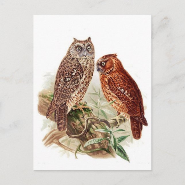 Carte postale Illustration classique (Devant)