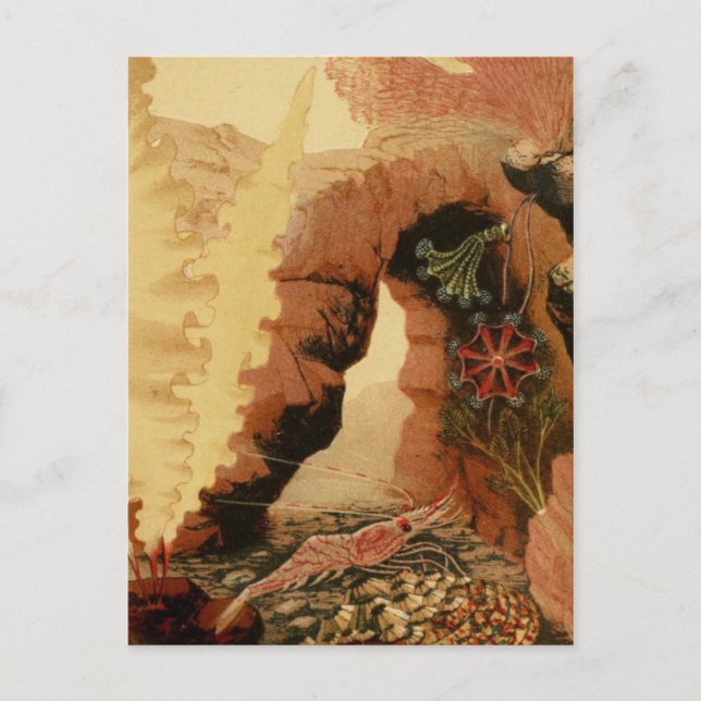 Carte postale Illustration classique (Devant)