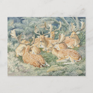 Carte postale Illustration classique