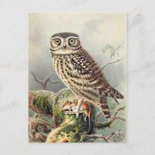 Carte postale Illustration classique