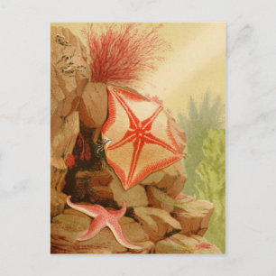 Carte postale Illustration classique