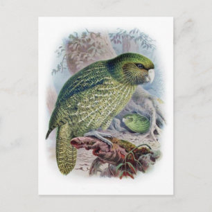 Carte postale Illustration classique