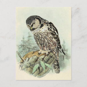 Carte postale Illustration classique