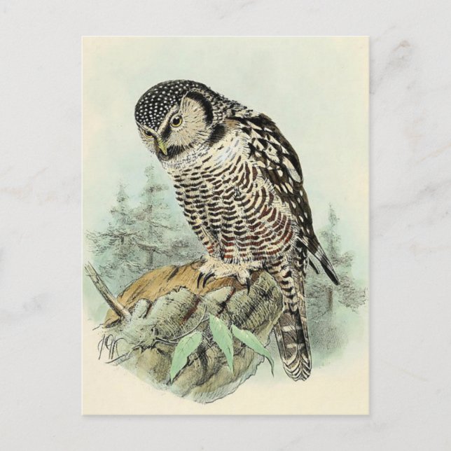 Carte postale Illustration classique (Devant)