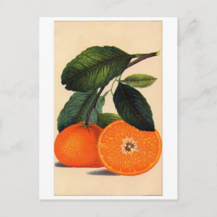 Carte postale Illustration classique