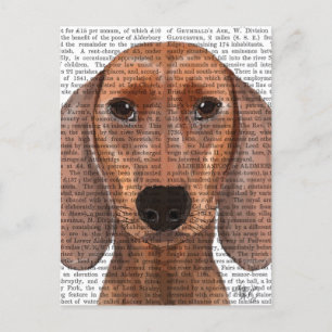 Carte Postale Illustration Dachshund Plain
