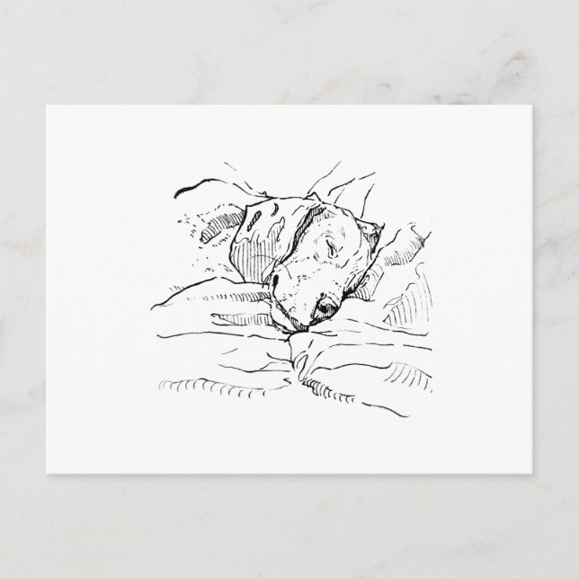 Carte Postale Illustration d'amour pour le chien Beagle  (Devant)