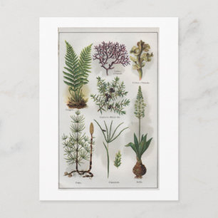 Carte Postale Illustration dans "MON DOCTEUR"