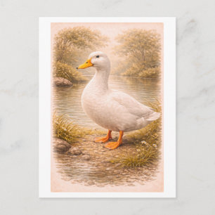 Carte Postale Illustration de canard de style vintage