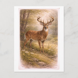 Carte Postale Illustration de cerf mâle de style vintage