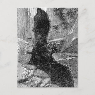 Carte Postale Illustration de chauve-souris 1885