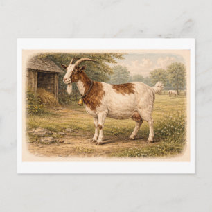Carte Postale Illustration de chèvre de style vintage