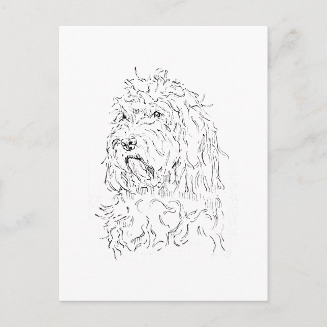 Carte Postale Illustration de chien, Art mignon Cockapoo (Devant)